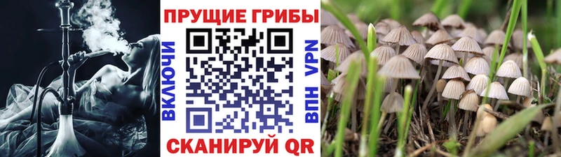 Псилоцибиновые грибы ЛСД  Цимлянск 